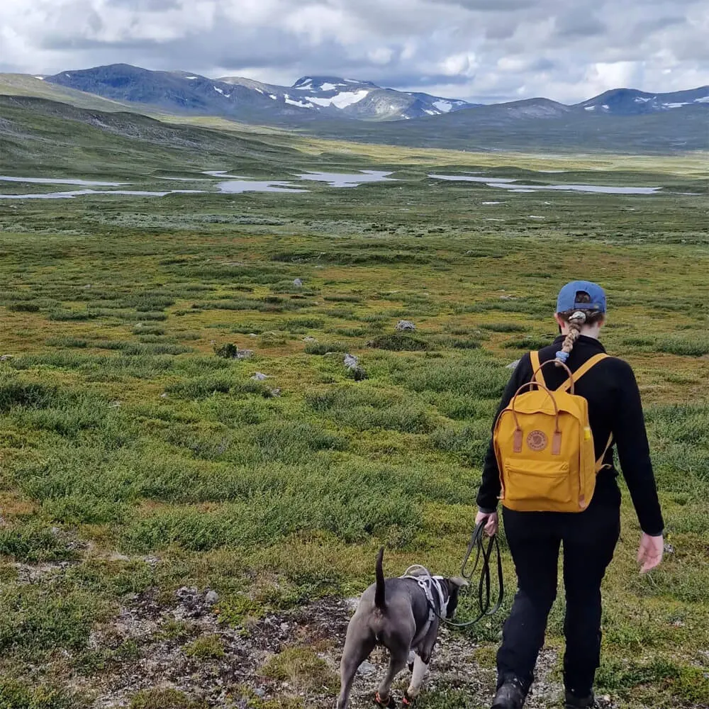 Рюкзак Fjallraven Kanken No2 Laptop 15 Acorn (166) - фото 7