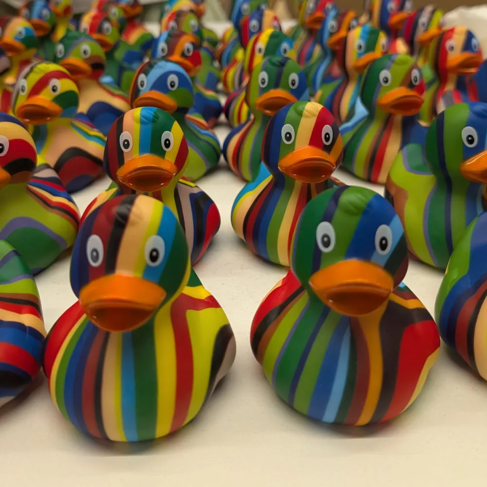 Утка разноцветная - фото 7