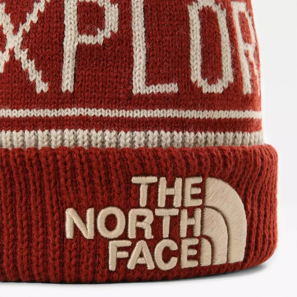 Шапка The North Face Retro Bom Beane brick house red-flax - фото 4