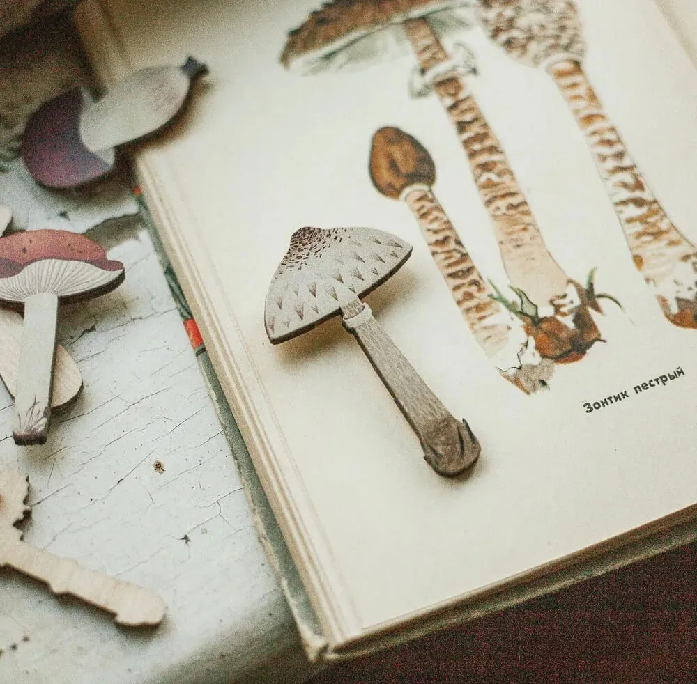 Деревянная брошка PlantMyBones Гриб-зонтик - фото 2