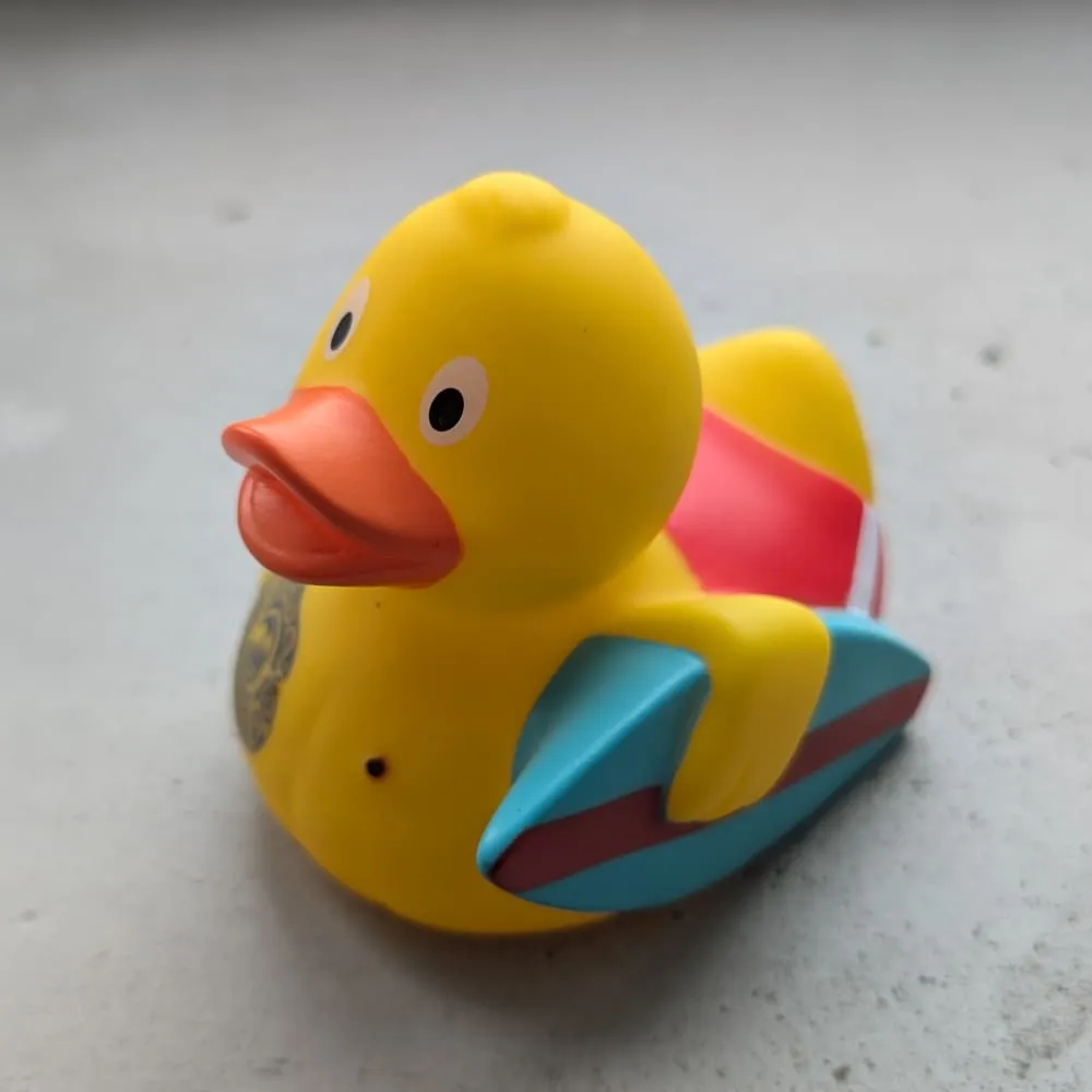 Утка Серфер - фото 1