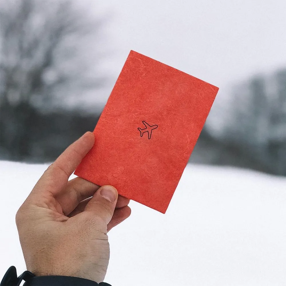 Обложка для паспорта из тайвека New Wallet Билет и самолёт - фото 10