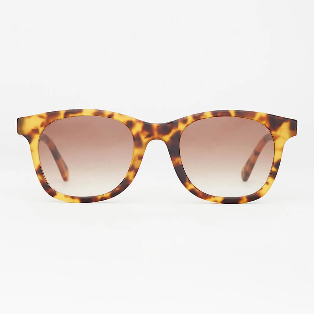 Очки SPUNKY Terra 6+ Tortoise - фото 1