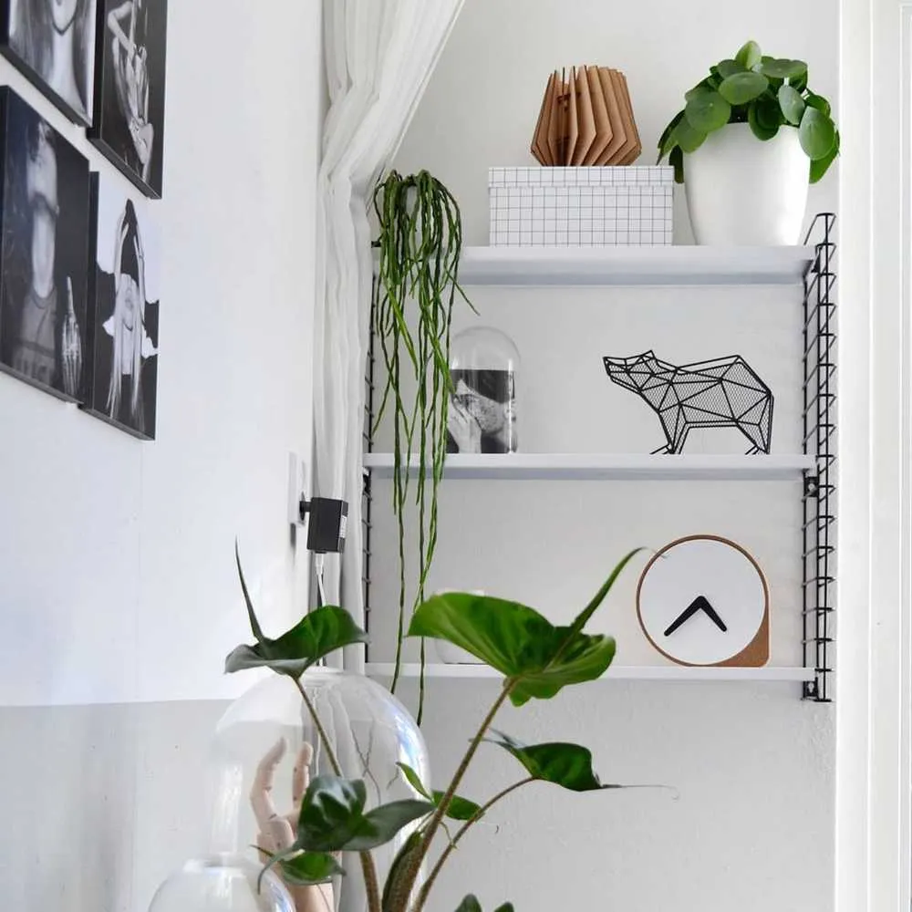 Органайзер-полка Медведь Bear Wall Hook - фото 2