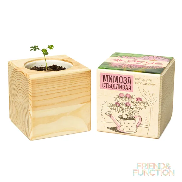 Набор для выращивания Экокуб - фото 18