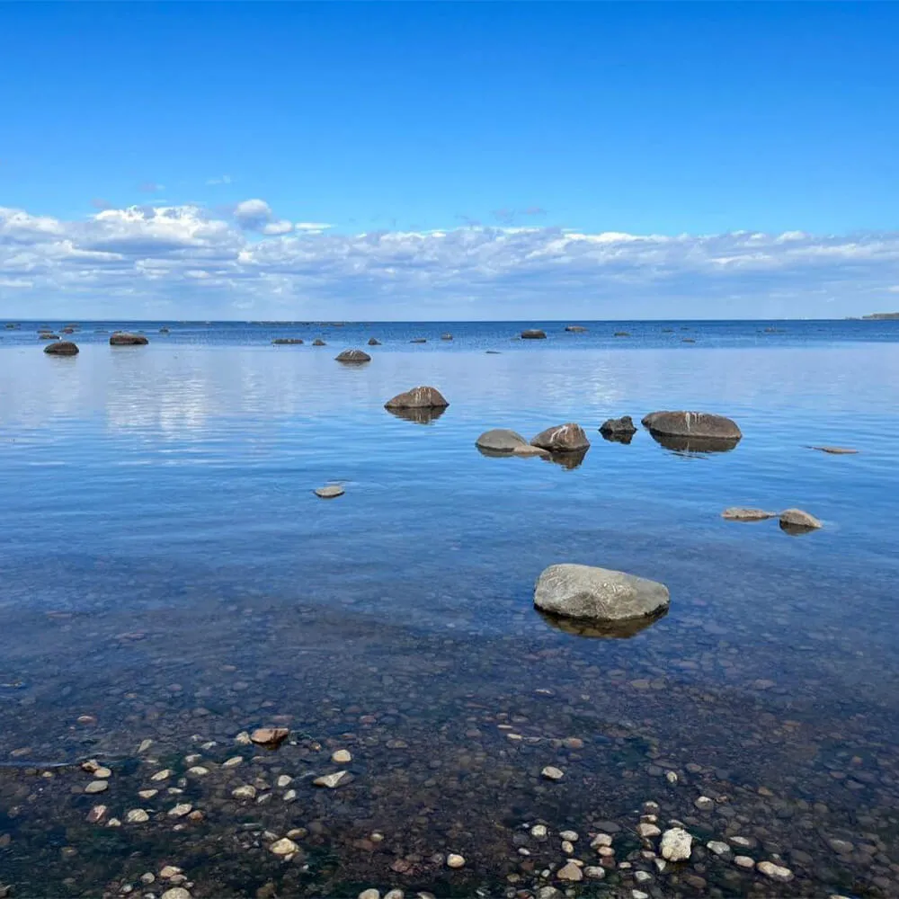 Экскурсия по маякам Ленинградской области 14 мая - фото 9