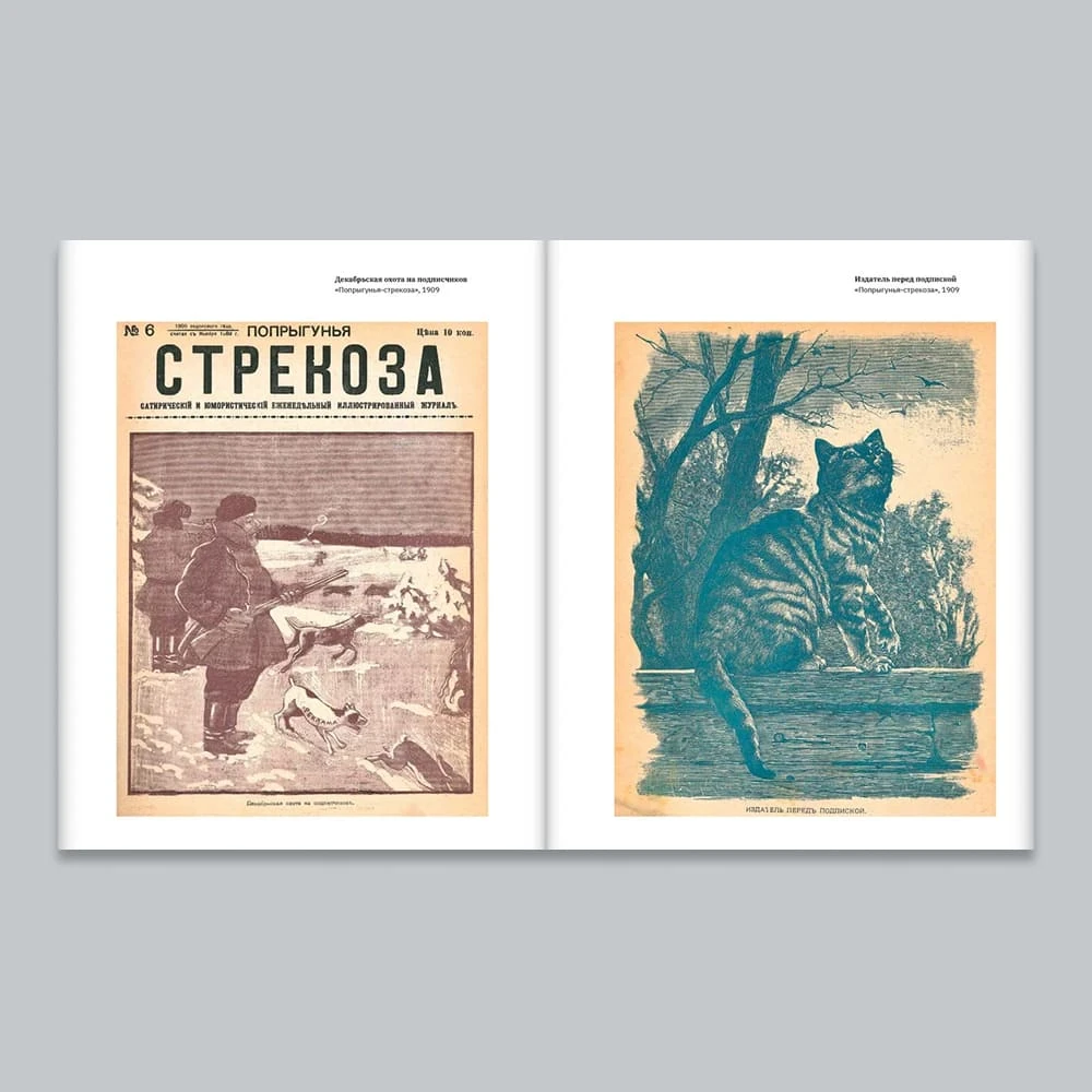 Книга "Жизнь-альбом. Сатира и юмор в русских журналах конца XIX - начала XX века" - фото 2