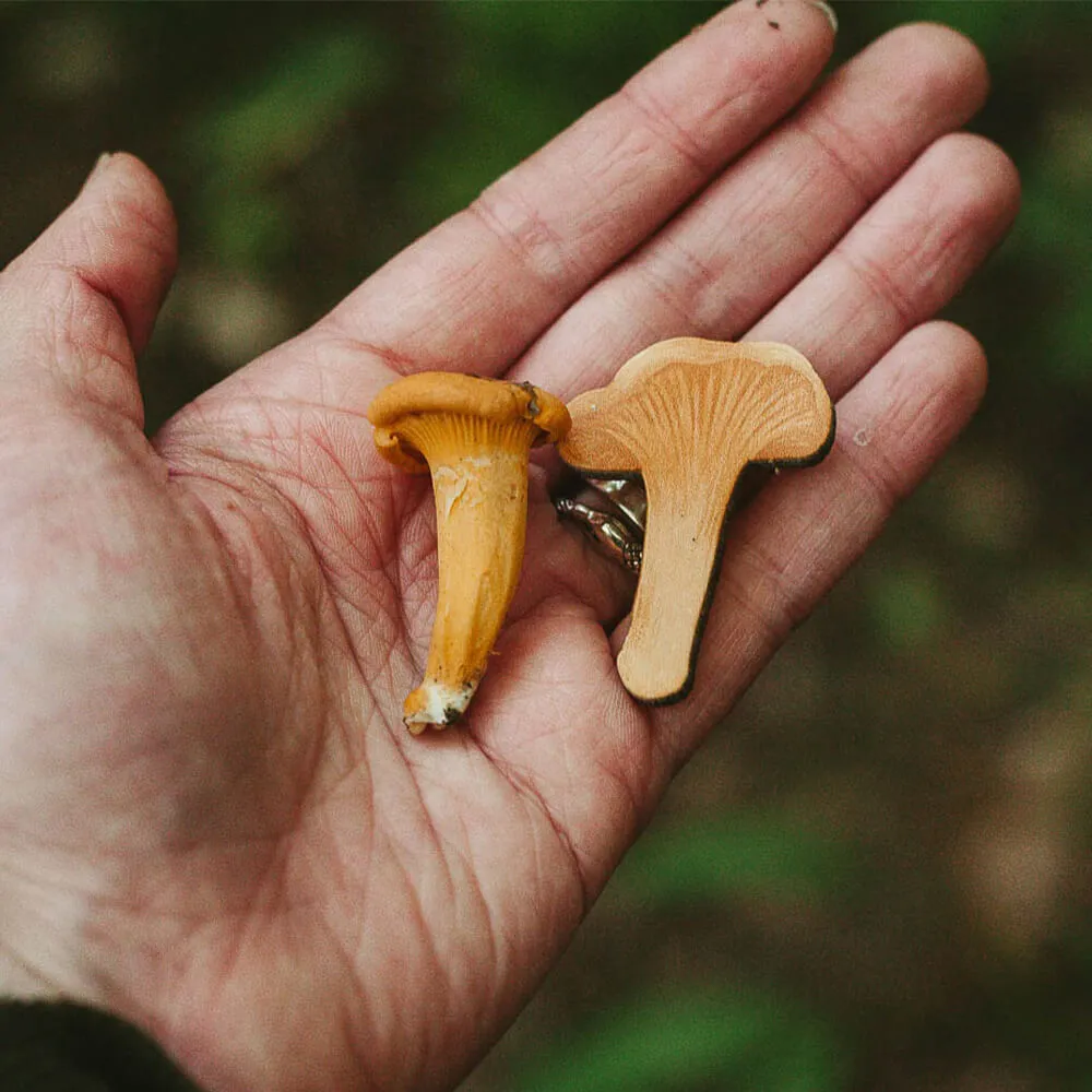 Деревянная брошка PlantMyBones Лисичка - фото 6