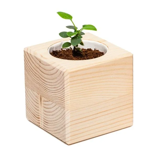 Набор для выращивания Экокуб - фото 7