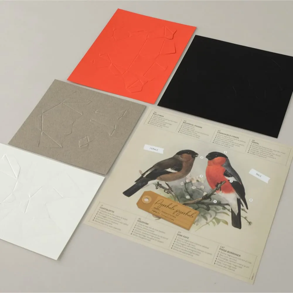 Бумажная модель для сборки Plego Art Pyrrhula pyrrhula (снегирь) - фото 4