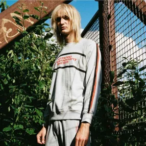 Свитшот Dedicated Malmoe NES Stripe Grey Melange мужской