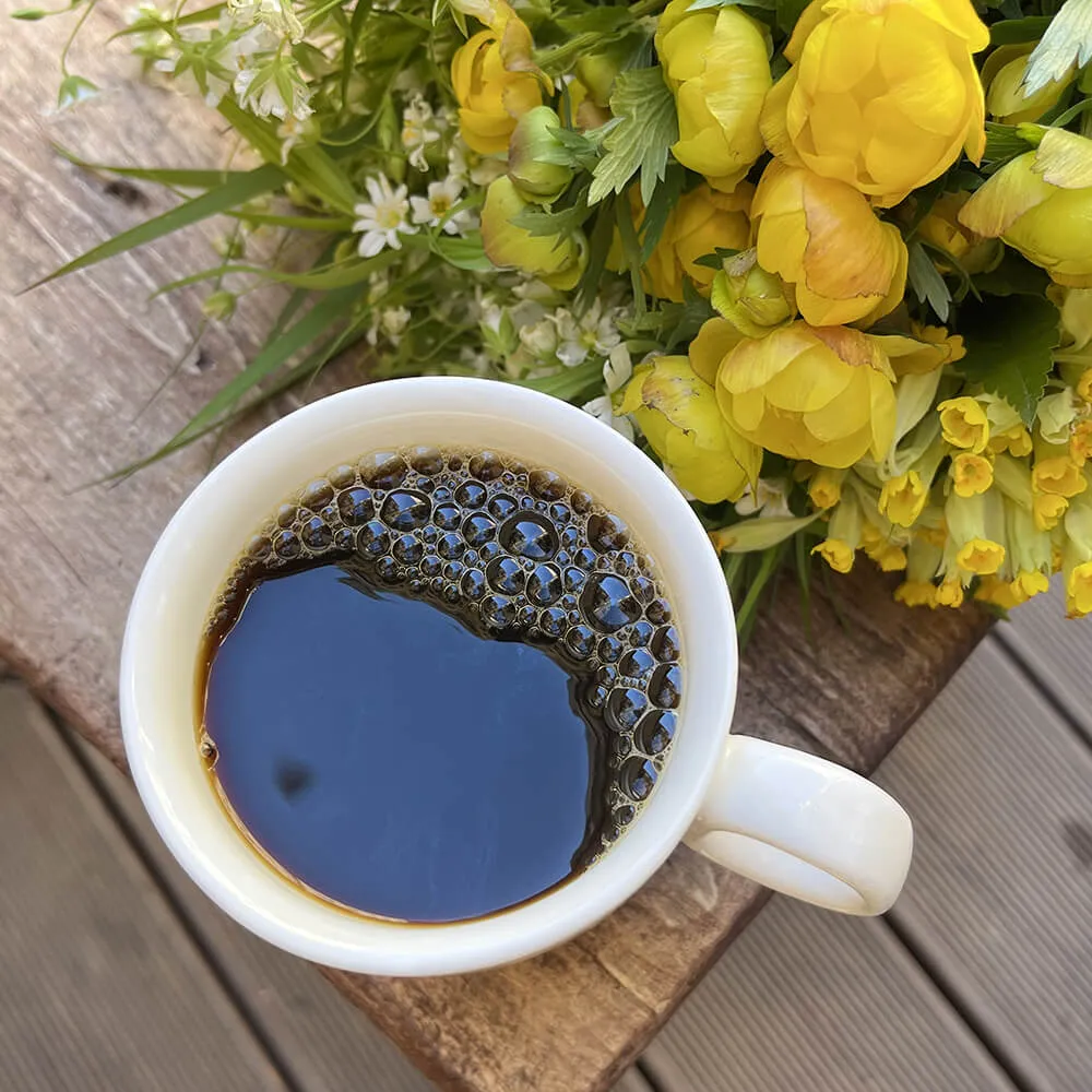 Экскурсия Петроградский кофейник: гостеприимство и спешелти-кофейни Петроградской стороны, 22 марта - фото 3