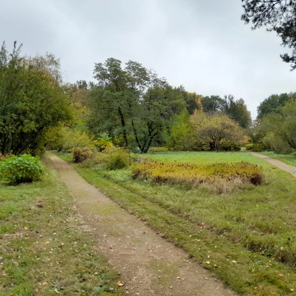 Образовательная прогулка "Тимирязевская академия и дендросад имени Р.И. Шредера", Москва 3 ноября - фото 2