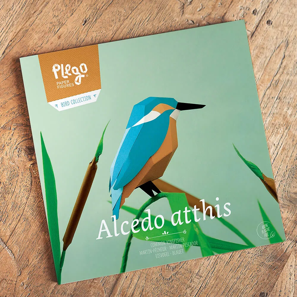 Бумажная модель для сборки Plego Art Alcedo Atthis (Обыкновенный зимородок) - фото 6