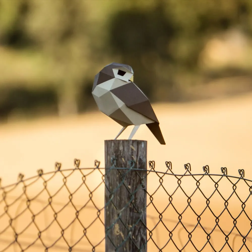Бумажная модель для сборки Plego Art Athene noctua (сова) - фото 4