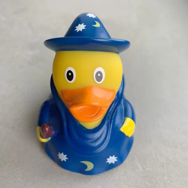 Утка Звездочет - фото 1