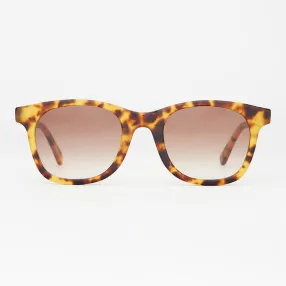 Очки SPUNKY Terra 6+ Tortoise