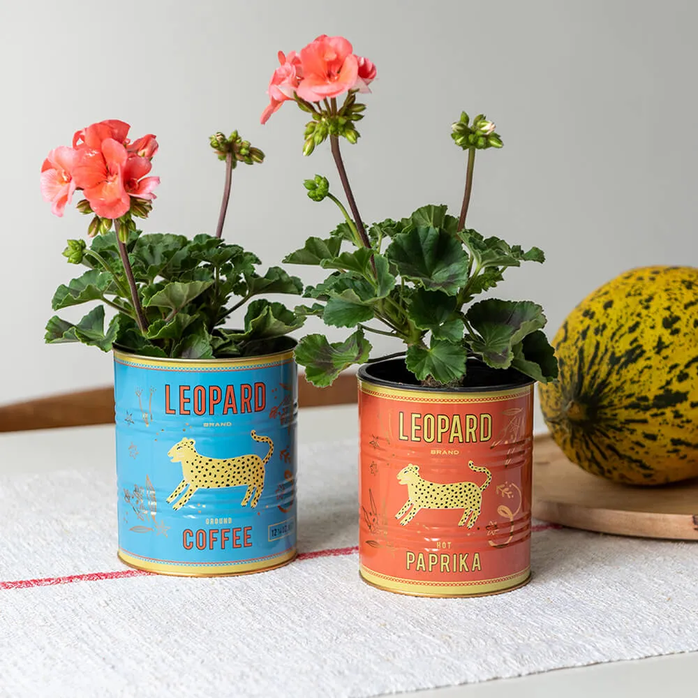 Набор банок для хранения с леопардами REX - фото 8