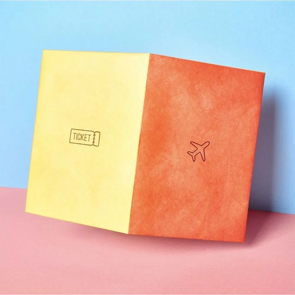 Обложка для паспорта из тайвека New Wallet Билет и самолёт - фото 1