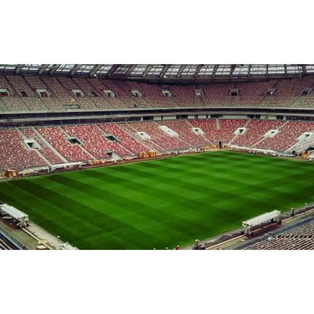 Экскурсия по стадиону Лужники с выходом на крышу, 23 сентября - фото 4