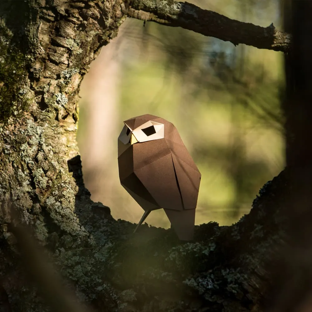 Бумажная модель для сборки Plego Art Athene noctua (сова) - фото 5