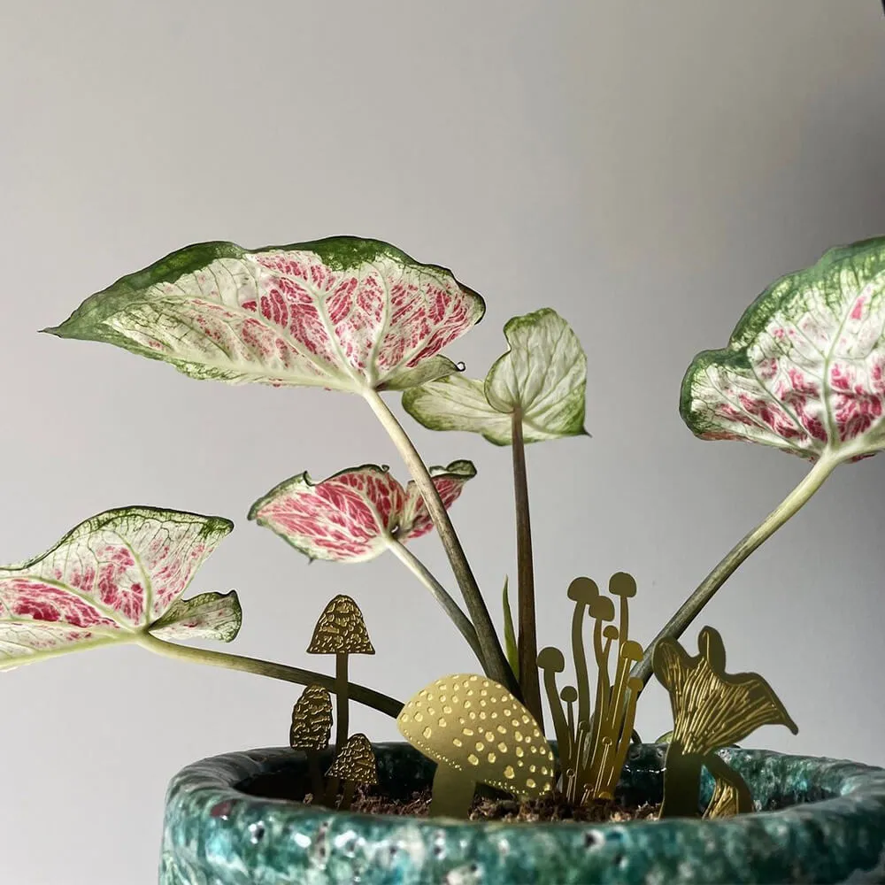 Набор украшений для горшка Another Studio Мини-грибы латунные (4 шт) - фото 5