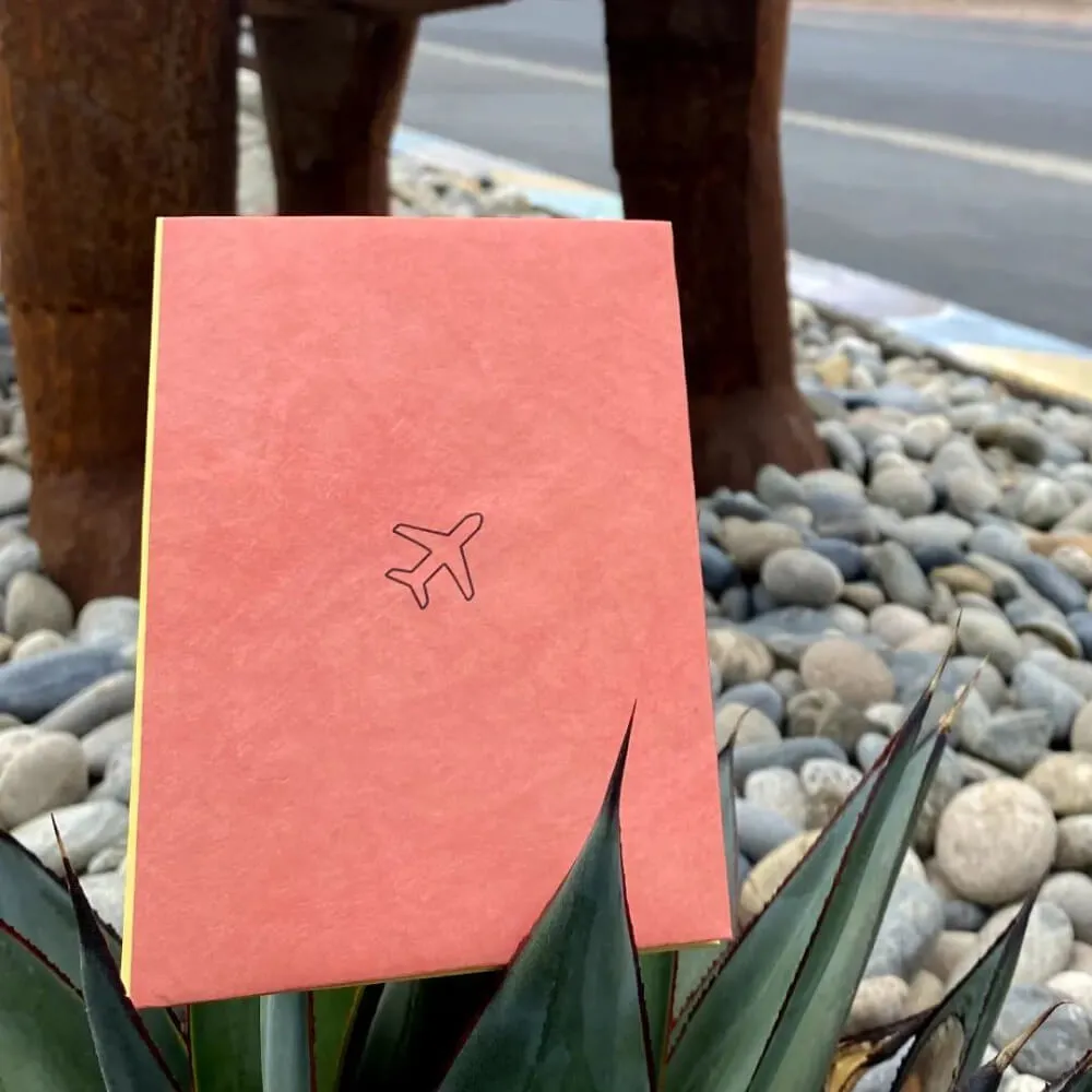 Обложка для паспорта из тайвека New Wallet Билет и самолёт - фото 13