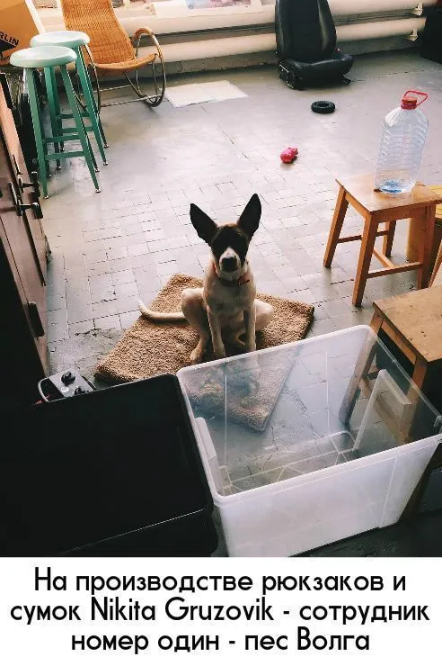 Без названия (3).jpg