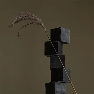 Мыло с углем Laboratorium