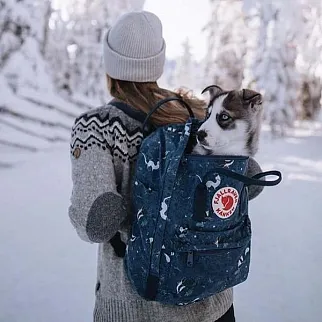Рюкзак Fjallraven Kanken Art Blue Fable (975)