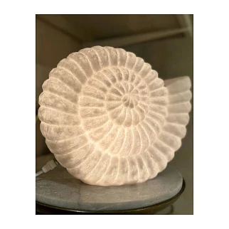 Настольная лампа в форме раковины Kersten (33.8x15.5x26.3 см)