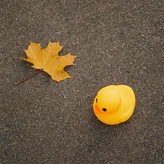 Утка классическая резиновая большая (10 см)