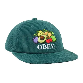 Кепка Obey Fruits 6 Panel Snapback Dark Cedar