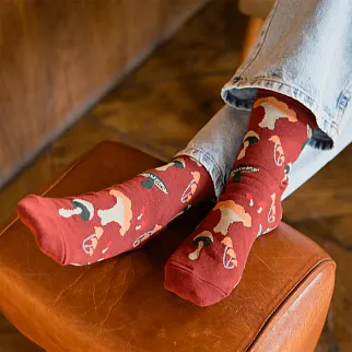 Носки Friend Function Грибные бордовые 36-40
