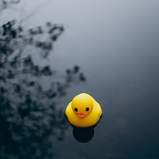 Утка классическая резиновая большая (10 см)