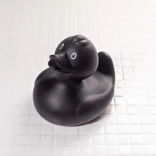 Утка Черная