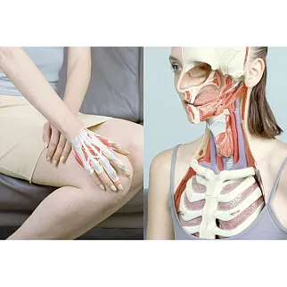 Книга Look Inside. Cutway Illustrations and Visual Storytelling