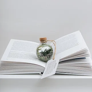 Зачарованный подарочный шар Вечнозеленый