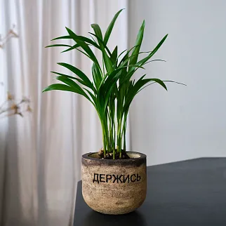 Керамический горшок Держись