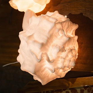 Настольная лампа в форме раковины Kersten спиралевидная