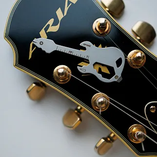 Мультитул Гитара Friend Function