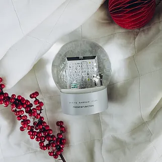 Снежный шар Friend Function x Anokhin Nikita store Panelka