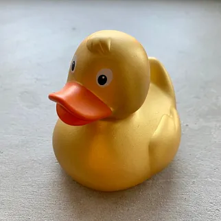 Утка Золотая