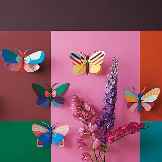 Интерьерный конструктор Studio ROOF Acacia Butterfly