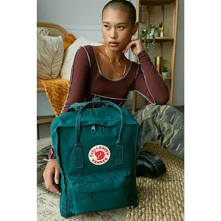 Рюкзак Fjallraven Kanken Arctic Green (667)