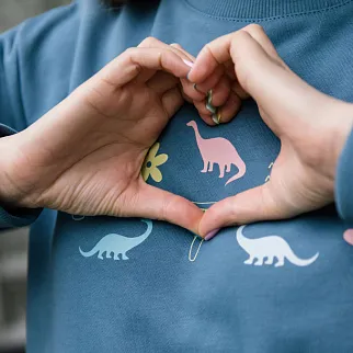 Свитшот Friend Function Мезозой голубой