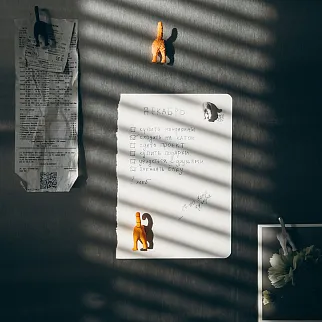 Набор магнитов кошки (попы)