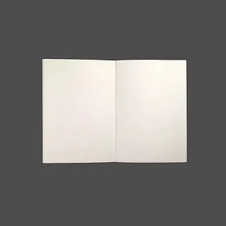 Тетрадь Подписные Издания А5 «Петербургский паттерн»