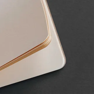 Блокнот Falafel Books А6 Dinosaurs