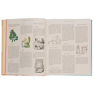 Книга The Essence